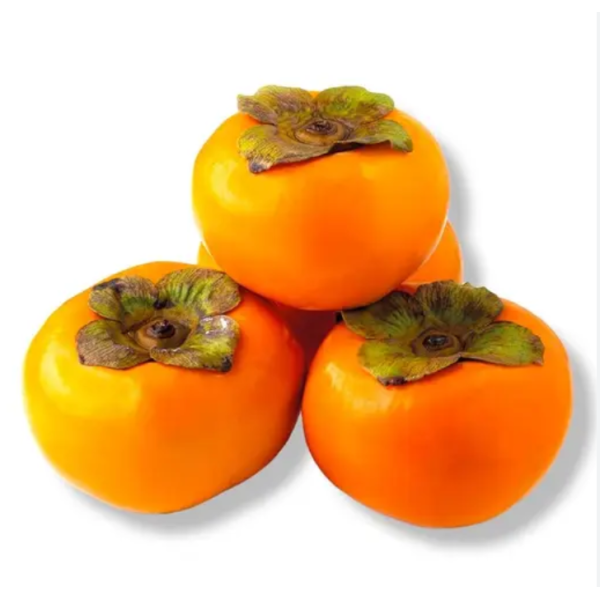 persimmon fruit