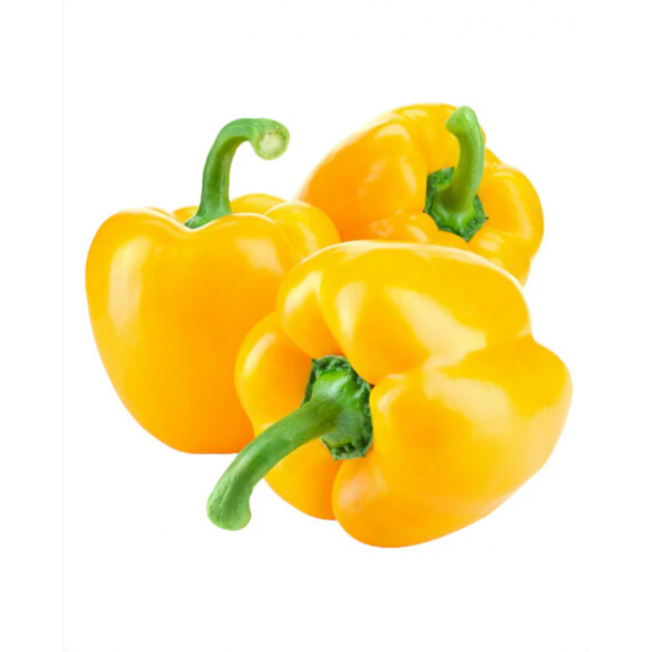 Yellow Capsicum