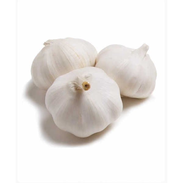 Garlic White Kg