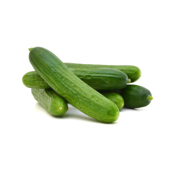 Cucumber