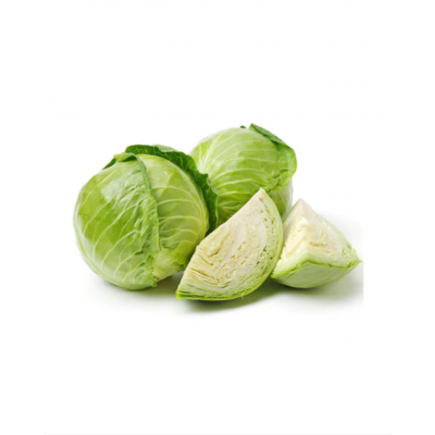 White Round Cabbage