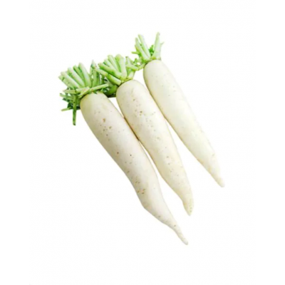 White Radish