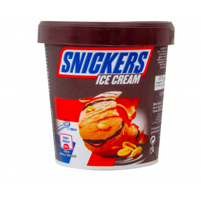 Snickers Ice Cream 450 ml