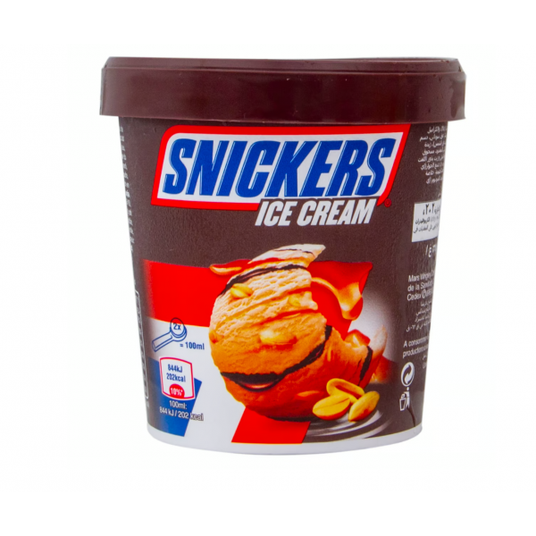 Snickers Ice Cream 450 ml